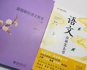语文专项 教辅分