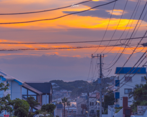 从区重点到211，